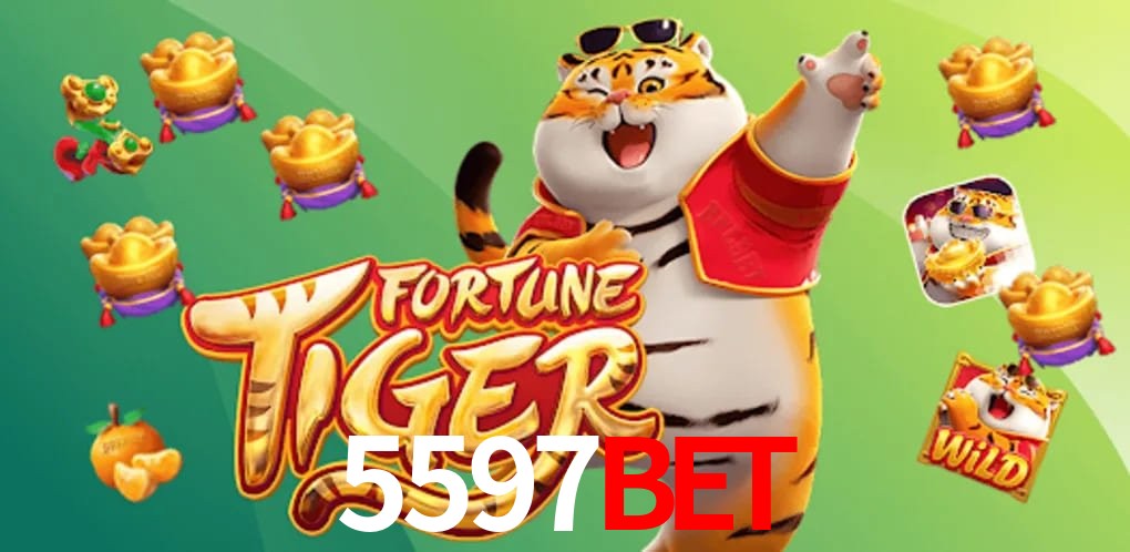 Experiência VIP 5597bet